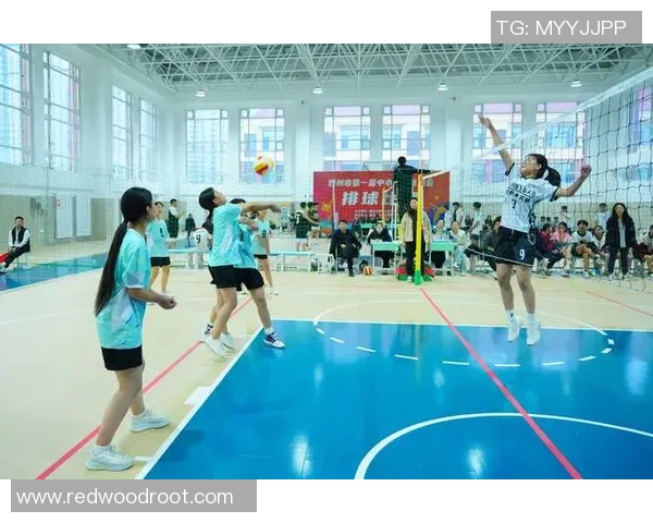 上海排球队中路突破创新之路探索与发展全景解析