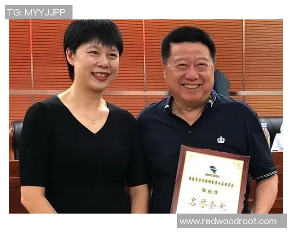 乒乓球传奇陈伟的生涯回顾与未来展望对话录