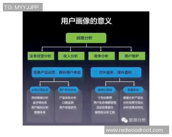 北京排球队防守策略分析与比赛表现评估的深度探讨