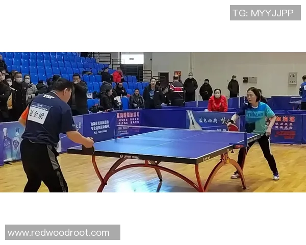 重庆乒乓球队在城市联赛中的状态分析与表现评估