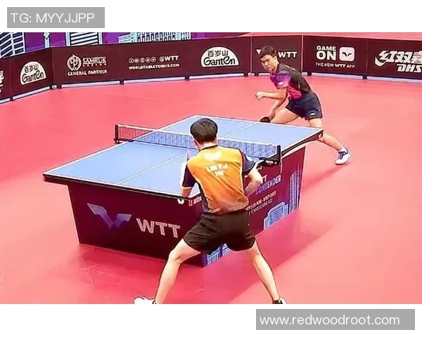 重庆乒乓球队的训练节奏与比赛策略深度分析与探讨