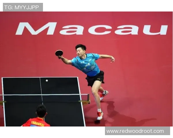 乒乓球耐力排行榜揭晓北京乒乓球队荣获第二名引发关注